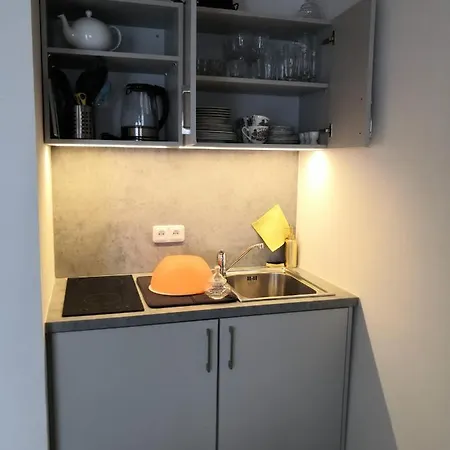 Swiss House Apartamento Slavonice